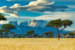 Cheap Flights to Africa from the UK: The Complete 2026 Guide